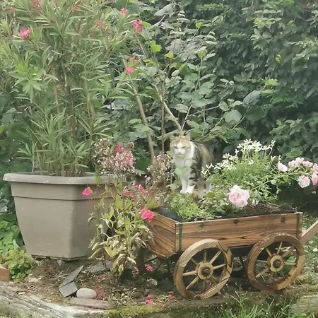 Champagne Habitación en casa particular *