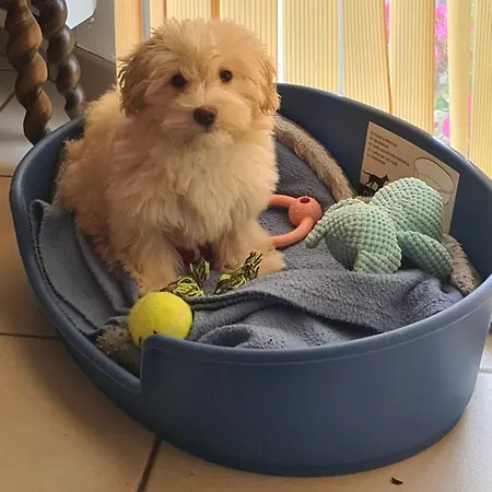 Champagne Sannerville