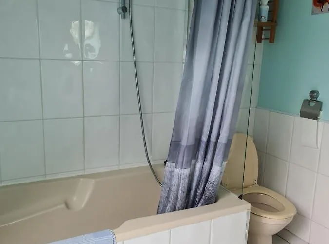 Проживание в семье Champagne *