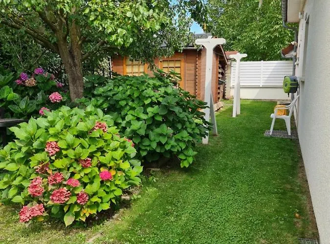 Champagne * Sannerville