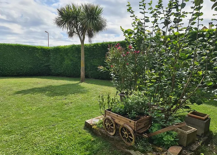 Проживание в семье Champagne