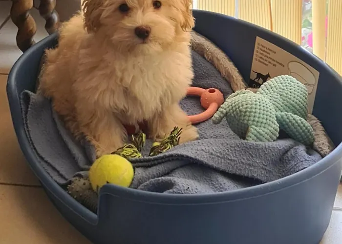 Champagne Sannerville